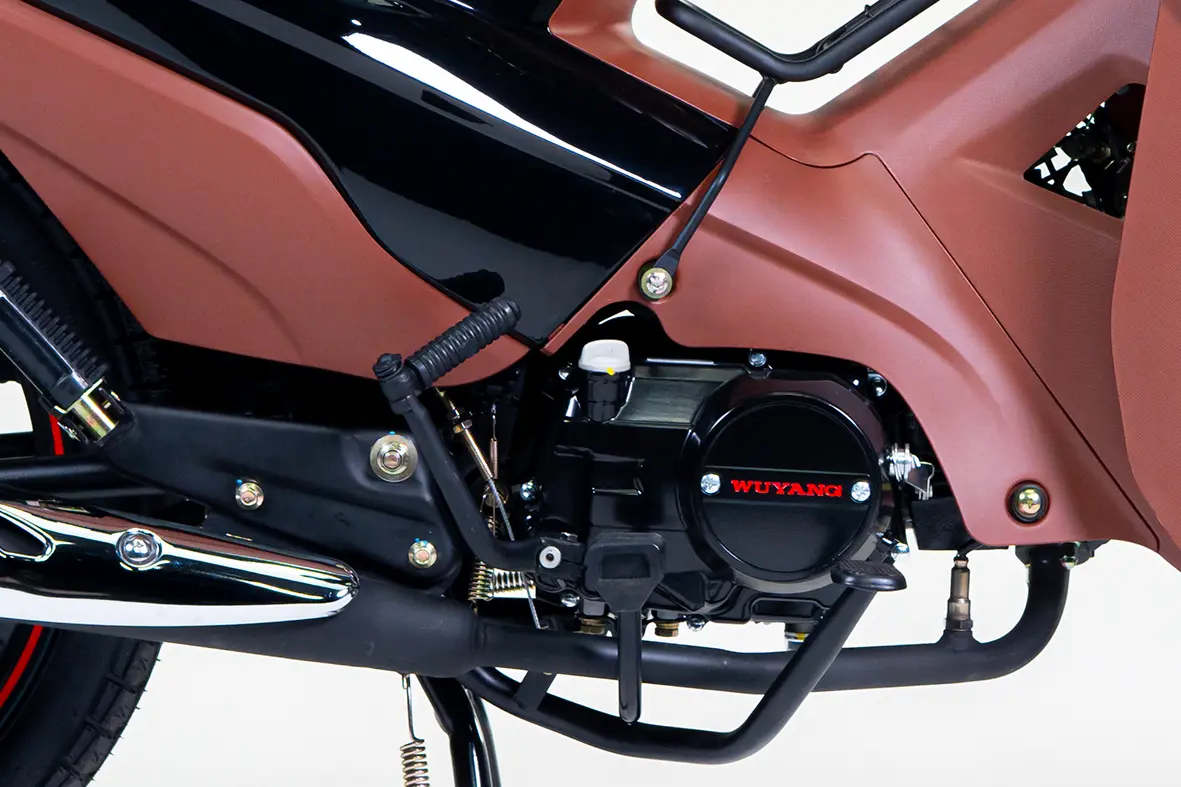 Motor — PHOENIX 50 S EFI